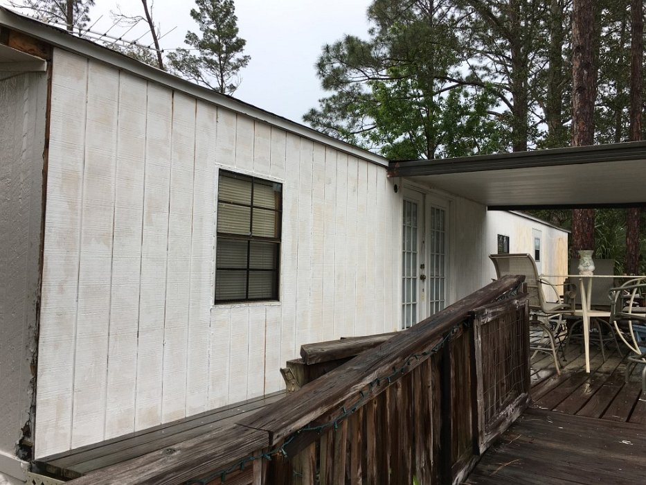 PSJ-Week 3-23, paint after rain.jpg